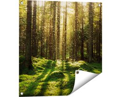Gards Tuinposter Bos met Groen Mos op de Grond - 60x60 cm - Tuindoek - Tuindecoratie - Wanddecoratie buiten - Tuinschilderij