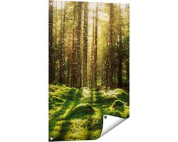 Gards Tuinposter Bos met Groen Mos op de Grond - 60x90 cm - Tuindoek - Tuindecoratie - Wanddecoratie buiten - Tuinschilderij