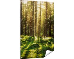 Gards Tuinposter Bos met Groen Mos op de Grond - 80x120 cm - Tuindoek - Tuindecoratie - Wanddecoratie buiten - Tuinschilderij