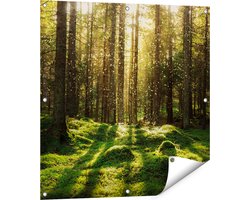Gards Tuinposter Bos met Groen Mos op de Grond - 80x80 cm - Tuindoek - Tuindecoratie - Wanddecoratie buiten - Tuinschilderij