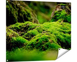 Gards Tuinposter Groen Mos - 100x80 cm - Tuindoek - Tuindecoratie - Wanddecoratie buiten - Tuinschilderij
