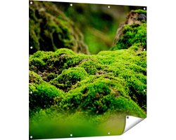 Gards Tuinposter Groen Mos - 110x110 cm - Tuindoek - Tuindecoratie - Wanddecoratie buiten - Tuinschilderij