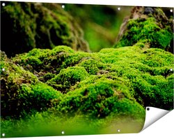 Gards Tuinposter Groen Mos - 120x80 cm - Tuindoek - Tuindecoratie - Wanddecoratie buiten - Tuinschilderij