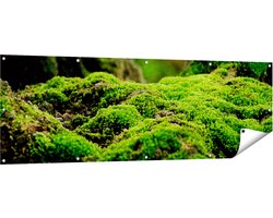 Gards Tuinposter Groen Mos - 180x60 cm - Tuindoek - Tuindecoratie - Wanddecoratie buiten - Tuinschilderij
