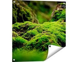 Gards Tuinposter Groen Mos - 60x60 cm - Tuindoek - Tuindecoratie - Wanddecoratie buiten - Tuinschilderij