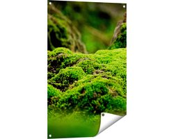 Gards Tuinposter Groen Mos - 60x90 cm - Tuindoek - Tuindecoratie - Wanddecoratie buiten - Tuinschilderij