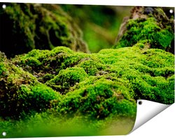 Gards Tuinposter Groen Mos - 90x60 cm - Tuindoek - Tuindecoratie - Wanddecoratie buiten - Tuinschilderij