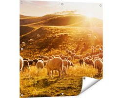 Gards Tuinposter Schapen in de Heuvels bij Zonsondergang - 80x80 cm - Tuindoek - Tuindecoratie - Wanddecoratie buiten - Tuinschilderij