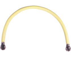 gasslang 80cm RVS