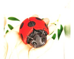 Gearticulleerd Lieveheersbeestje – Flexibel Beweegbaar 3D Print Rood Zwart – Schattig Insect Figuur