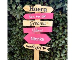 Geboortebord voor de tuin | Losse bordjes met paal| In roze (meisje) of blauw (jongen)| Met de naam van de baby| Leuke decoraties