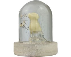 Gedenkpops huisdieren - vulset hond - urn - mini stolp - gedenk - rouw en verlies - huisdieren urnen - memmor