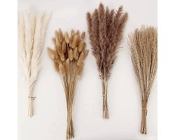 Gedroogd Pampasgras Decor - 100-Delige Set Met Konijnenstaarten En Rietgras Voor Boho Bruiloft En Huisdecoratie (Wit & Bruin)
