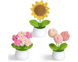 Gehaakte bloemen set - Handgemaakt - Emotionele ondersteuning - Bureau decoratie - Beterschap cadeau