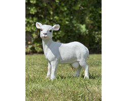 Geit S 28 cm hoog - polyester - polystone - beeld - tuinbeeld - hoogkwalitatieve kunststof - decoratiefiguur - interieur - accessoire - voor binnen - voor buiten - cadeau - geschenk