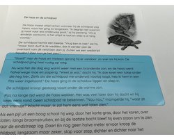 Gekleurde leesliniaal met leeslijn (19 x 7 cm) set van 8 kleuren