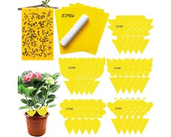 **Gele Stickers - 50 stuks om rouwmuggen te bestrijden** Met kleverige insectenvallen en papier voor rupsen lijm - ideaal voor ongediertebestrijding in kamerplanten.