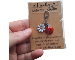 Gelukshanger ladybug - Pocket Hug - lieveheersbeestje - lucky charm - geluk - hart over de riem - cadeautje - dobbelspel