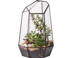 Geometrisch Terrarium - Glazen Plantenbak - Kamerdecoratie - Handgemaakt Koperen Frame - 16.5 x 14.5 x 25 cm - Zwart