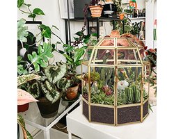 Geometrische Terrarium Plantenbak - Handgemaakte Glazen Miniatuur Bloempot voor Vetplanten en Cactussen