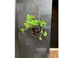 Georgio Pellani leren plantenhanger - Kleur Brown (bruin) - Luxe Plantenhouder - Handgemaakt - Decoratie