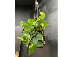 Georgio Pellani leren plantenhanger - Kleur Camo (camouflage) - Luxe Plantenhouder - Handgemaakt - Decoratie