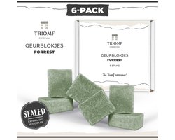 Geurblokjes - Dennen - 6-Pack - Brievenbusdoosje | Triomf Original - Gifset Amberblokjes - Sixpack Geurblokjes - Klein Cadeau Pakketje - Verjaardag - Bedankt - Nieuw Huis - Amber Blokje - Geur Blokje - Geurblokje - Gif Set - Cadeaupakketje - Groen