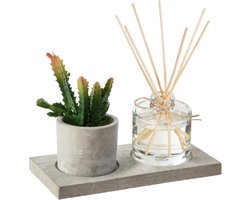 Geurdoos 4 stuks plant met diffuser - Verre|Ciment|Papier - Cactus - SILUMEN