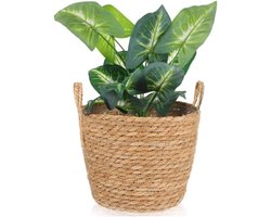 Gevlochten zeegras plantenmand 25x25x20 cm