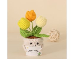 Geweven boeketten of Eternity - Stijlvol droogboeket - Cadeau voor vrouw, (beste) vriendin, haar - Valentijn - Moederdag - Huwelijk - droogbloemen boeket - Romantisch Liefdes(Kaarten niet inbegrepen)