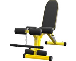 Gewichtsbank met Beenverlenging - Multi-Positie Verstelbare Bank voor Krachttraining, Dumbbell Oefening en Ab Workouts