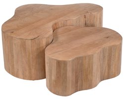 Giga Meubel Salontafel Moos - Organisch Naturel Hout - 70x50x30cm