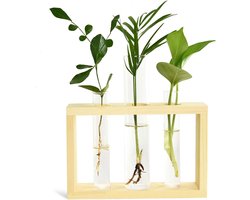 Gigicial Stekstation Voor Planten - Stekvazen Voor Planten - Natuurlijk Hout En Glazen Reageerbuisvazen - 1 Stuks - Woonkamer Slaapkamer Keuken Natuurlijke Houtkleur