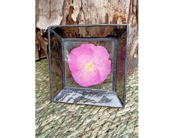 Glasharddesign - Flower Brown - interieur - wonen - lijst - bloem - glas in lood - decoratie - cadeau