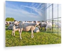 ® Glasschilderij 180x120 cm - Schilderij acrylglas - Schapen - Wit - Wol - Foto op glas - Muurdecoratie woonkamer - Wanddecoratie slaapkamer - Schilderijen