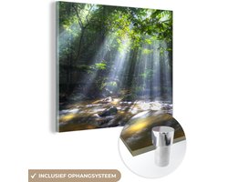 ® Glasschilderij 20x20 cm - Schilderij acrylglas - Zonnestralen dringen door de bomen het regenwoud in Maleisië binnen - Foto op glas - Muurdecoratie woonkamer - Wanddecoratie slaapkamer - Schilderijen