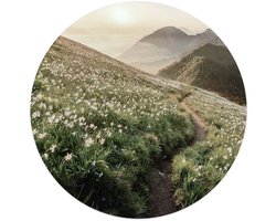 Glasschilderij Bergbloei in de ochtendzon - Ø 50 - Glas - REINDERS