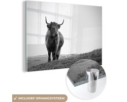 Glasschilderij - Foto op glas - Acrylglas - Dieren - Schotse hooglander - Koe - Gras - Natuur - 120x80 cm - Glasschilderij Schotse hooglander - Schilderij glas - Glasschilderij zwart wit - Kamer decoratie