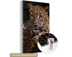 Glasschilderij luipaard - Boomstam - Dieren - Portret - Wanddecoratie - Woonkamer - 60x90 cm - Schilderij glas - Foto op glas - Woonaccessoires - Muurdecoratie - Glasplaat