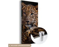 Glasschilderij luipaard - Boomstam - Dieren - Portret - Wanddecoratie - Woonkamer - 80x160 cm - Schilderij glas - Foto op glas - Woonaccessoires - Muurdecoratie - Glasplaat