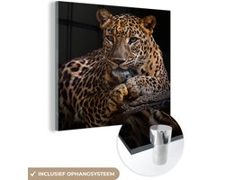 Glasschilderij luipaard - Boomstam - Dieren - Portret - Wanddecoratie - Woonkamer - 90x90 cm - Schilderij glas - Foto op glas - Woonaccessoires - Muurdecoratie - Glasplaat