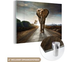 Glasschilderij olifant - Dieren - Weg - Bomen - Foto op glas - Schilderij glas - Kamer decoratie - Woonkamer - 150x100 cm - Slaapkamer - Muurdecoratie glas - Wanddecoratie - Glasplaat