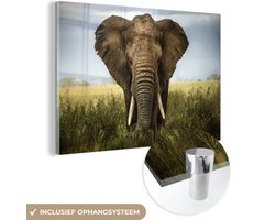 Glasschilderij olifant - Gras - Dieren - Landschap - Wanddecoratie - Kamer decoratie - 30x20 cm - Muurdecoratie glas - Schilderij glas - Wanddecoratie woonkamer