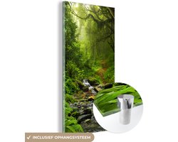 Glasschilderij - Schilderij glas - Bos - Water - Jungle - Stenen - Groen - Acrylglas - Wanddecoratie - Foto op glas - 80x160 cm - Muurdecoratie - Schilderijen woonkamer