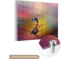 Glasschilderij - Veer - Waterdruppel - Regenboog - Lucht - Foto op glas - 80x60 cm - Glazen schilderij - Schilderij glas