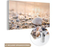 Glasschilderij - Wanddecoratie - Schelpen - Strand - Zon - Acrylplaat - Glasschilderij natuur - Foto op glas - Glasschilderij strand - Acrylglas - 40x20 cm - Schilderijen woonkamer - Muurdecoratie