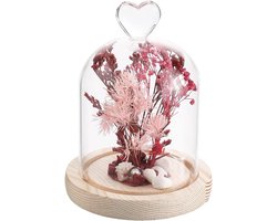 Glazen Bel Jar Dome 113x150mm Decoratieve Mini Cloche Dome met Houten Basis - Glazen Cloche Dome Kleine Glazen Domes Hart Duidelijke Glazen Bel Dome voor Bruiloft Thuis Planten Kerstfeest Favorieten