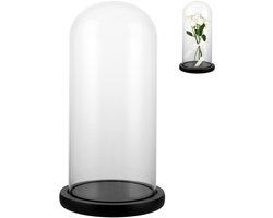 Glazen bel met zwarte houten bodem, 26 cm hoog, glazen koepel en stolp, transparante bel voor verlichting en decoratie