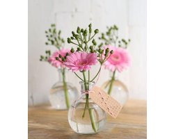 Glazen Buikvaas 80x100mm - 24 st