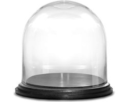 Glazen Cloche Koepel met Zwarte Houten Basis voor Decoratie en Planten